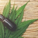 Where to Buy Quality Cannabis Without the Confusion in Toronto